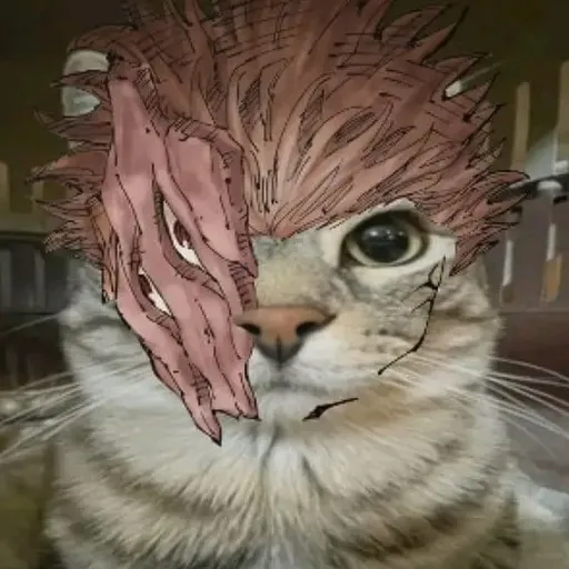 creator sakuna kitty's avatar