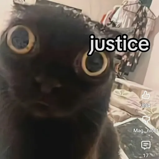 creator 🧚✨ ShE WaS A FaIrY's avatar