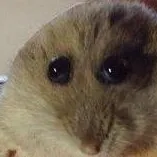creator Beansmakeutoot's avatar
