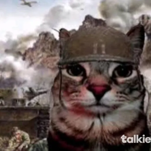 creator ARMY CAT.COM's avatar