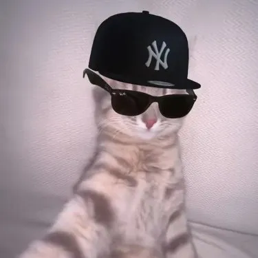 creator .·★ 𝙻𝟹𝚡𝟷𝚎 ★·.'s avatar