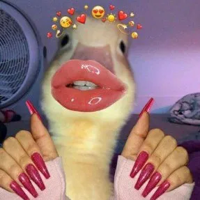 creator .·★ 𝙻𝟹𝚡𝟷𝚎 ★·.'s avatar