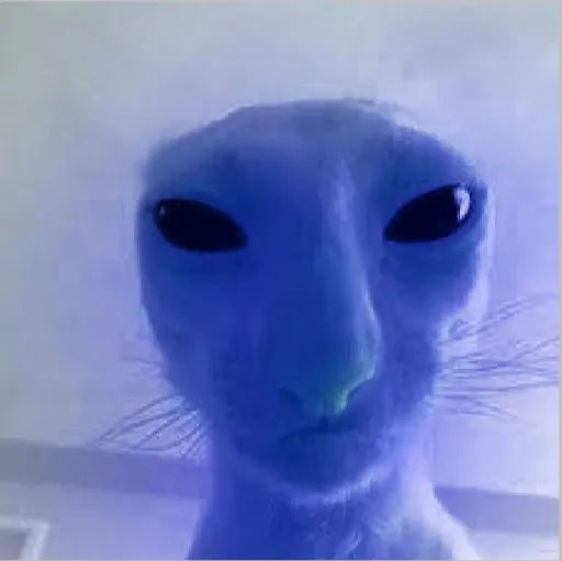 creator BlueCat1's avatar