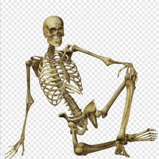 creator Boney guy's avatar