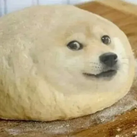 creator doge dough's avatar