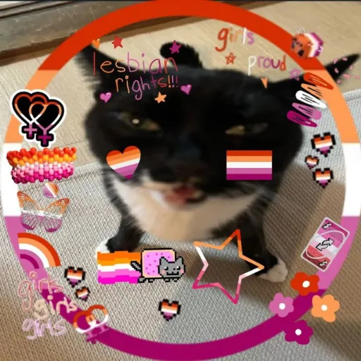 creator quadrobics_alana's avatar