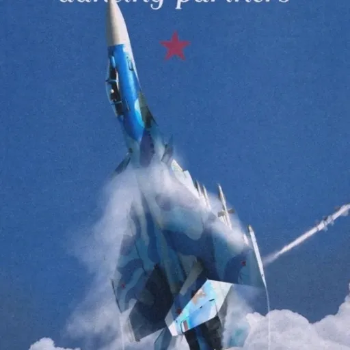 creator SU-33's avatar