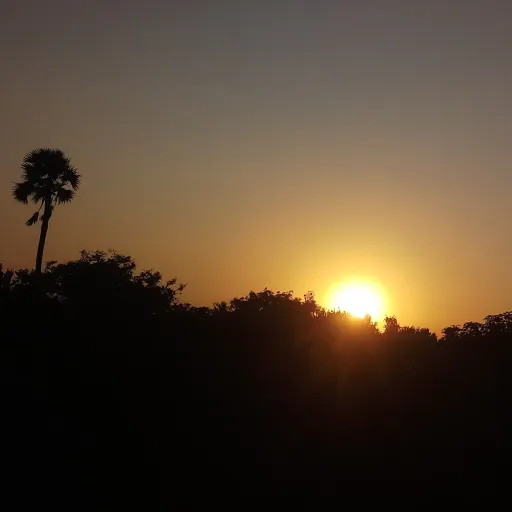 creator {○ sakshi○}'s avatar