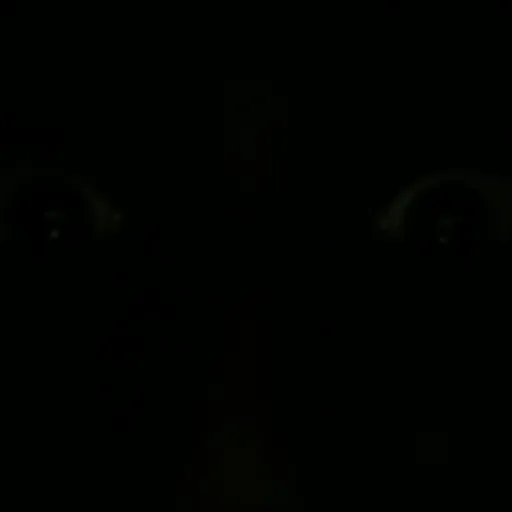 creator NayeliG.R.'s avatar