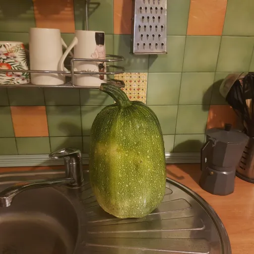 creator Cucumber_Maker's avatar
