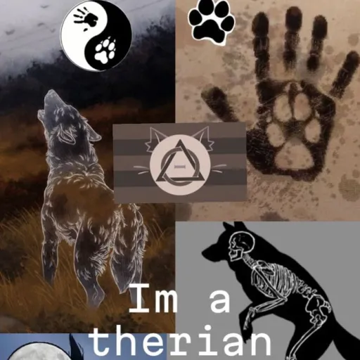 creator ♡Hazy's_Forest♤'s avatar