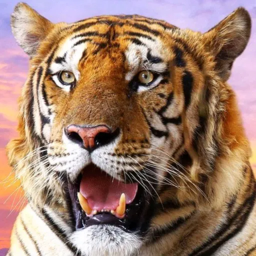 creator tygrrrflic's avatar