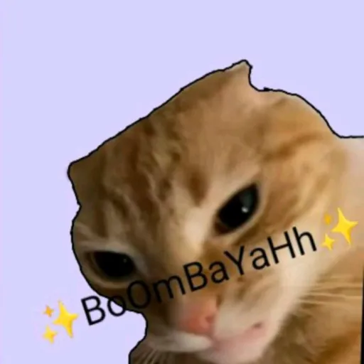 creator (O_+)'s avatar