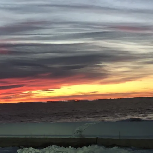 creator {•Mimi•}'s avatar