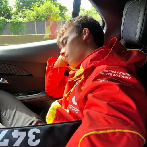 creator ˢᵃᵐ, ᵗʰᵉ ᵖᵉⁿᵍᵘⁱⁿ.'s avatar