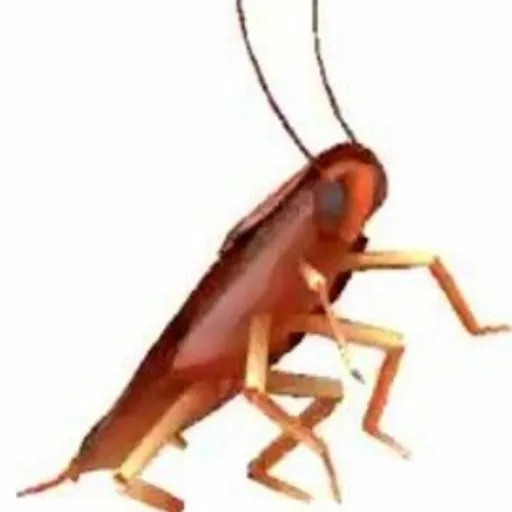 creator Big black male's avatar