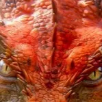 chat with ai character: dargon