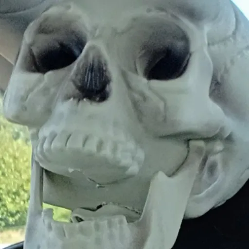 creator skeleton_2936's avatar