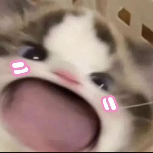 creator Bean2033's avatar