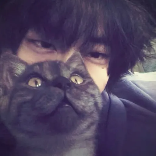 creator Cinamanon<3's avatar