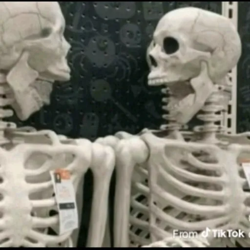 creator Talkior-jrJWpu7O's avatar