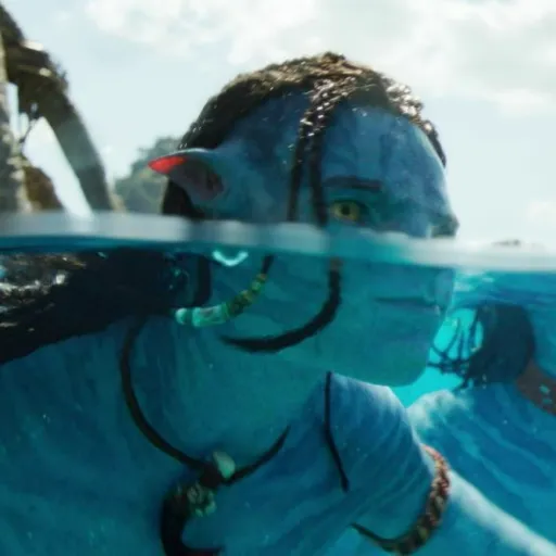 creator ㄚ卂乙乙丨's avatar