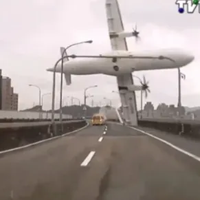 creator TransAsia 235's avatar