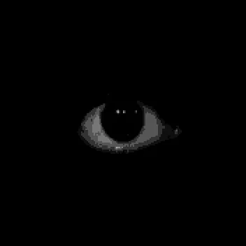 creator just a eye's avatar