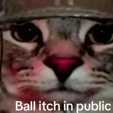 creator my balls are itchy's avatar