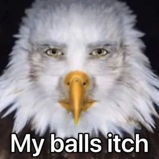 creator 🦅🇺🇲ELLO CHAPS🇺🇲🦅's avatar