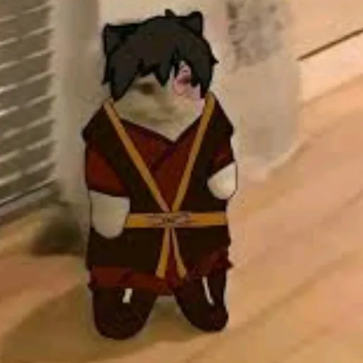 creator zuko cat's avatar