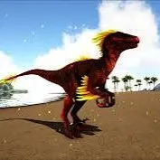 creator shadow the raptor's avatar
