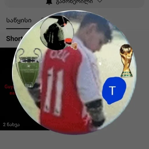 creator teojimshitashvilit's avatar