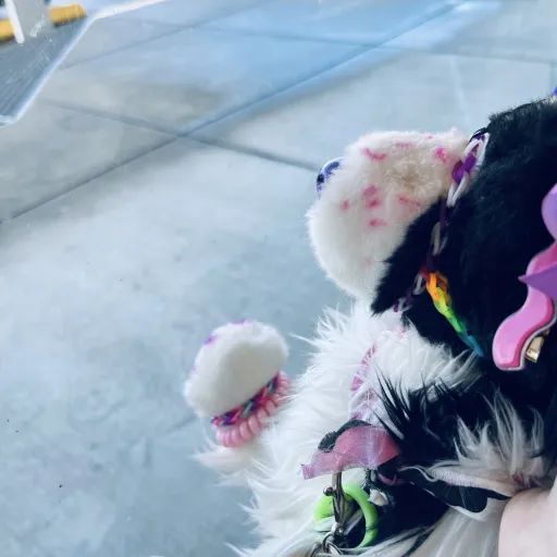 creator Idk wha to name me's avatar