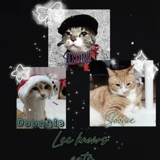 creator โก๐ค๐น{โซ๐๐๐พ๐ท๐ณ๐ฒ๐ทโซ}๐น๐คโก's avatar