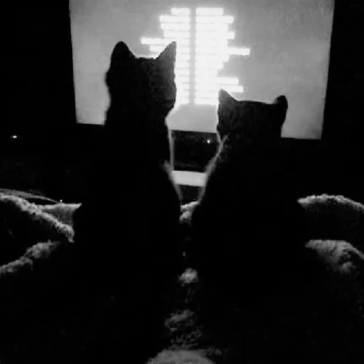 creator π₯.ΙπππΎπ·π³π²π· πΌπ½πͺπ·Κ.πΉ's avatar