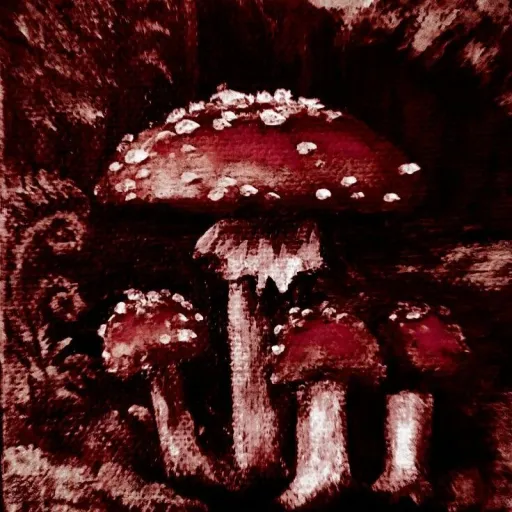 creator 🥀.☆𝓧𝓪𝓿𝓲𝓮𝓻✩🍂's avatar