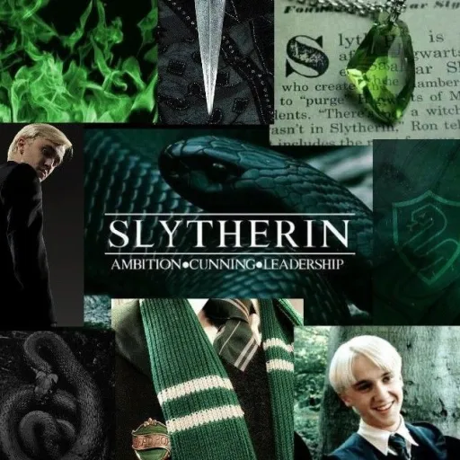creator 🐍draco_malfoy_fan🐍's avatar