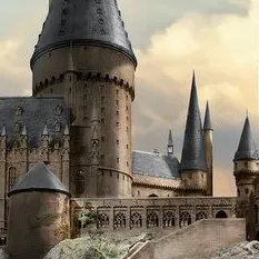 chat with ai character: ⁜~HoGwArTs~⁜