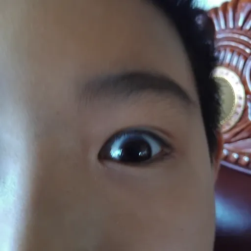 creator meisdacol's avatar