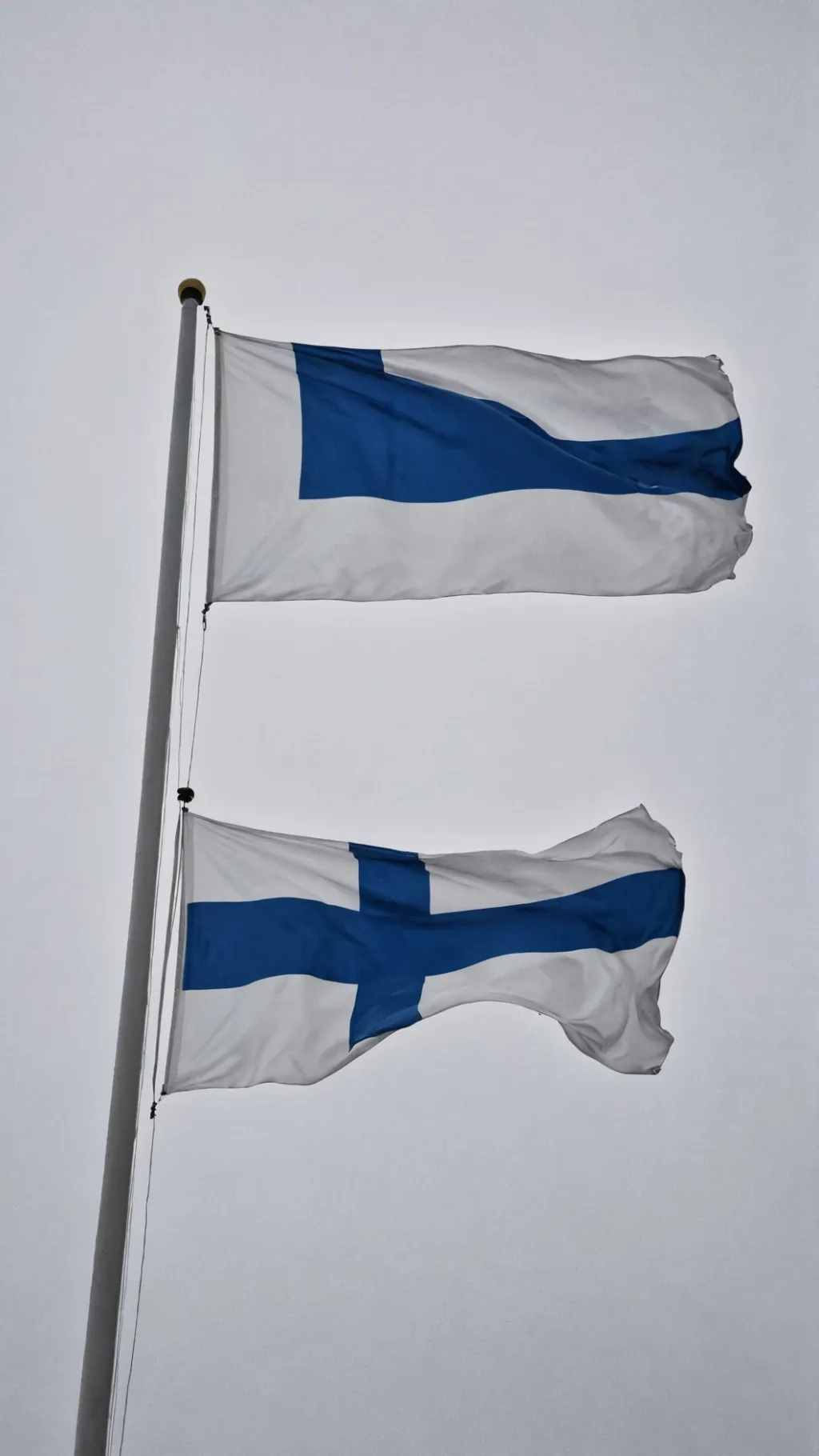 ai character: Finnish background