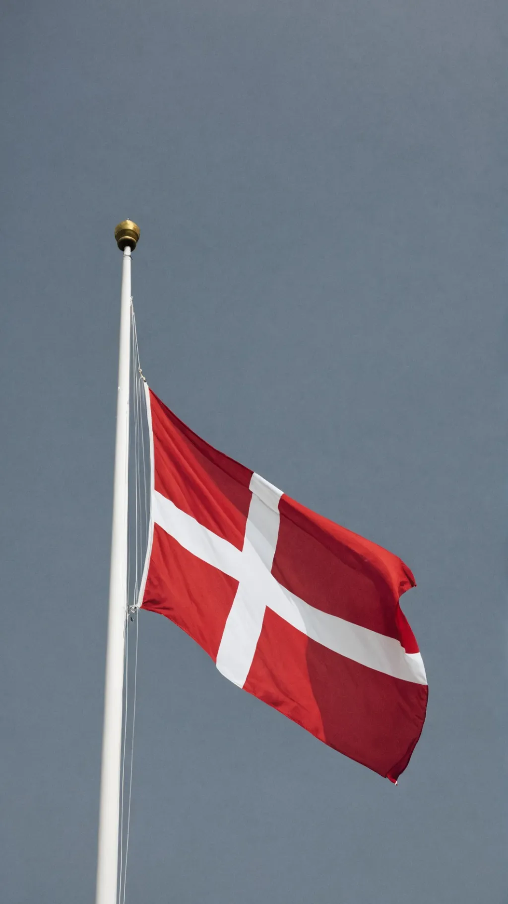 ai character: Danish background