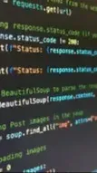 ai character: Python Teacher background