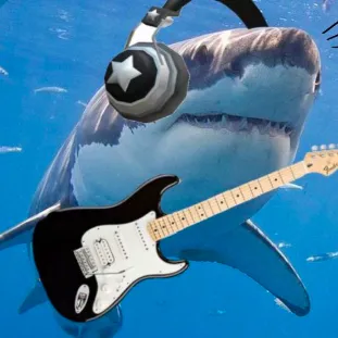 creator Sharky 🦈's avatar