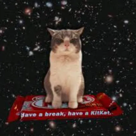 creator kitcat (ФωФ)'s avatar