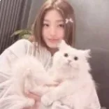 creator lil_silly_gall :3's avatar