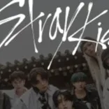 chat with ai character: SKZ(Felix)