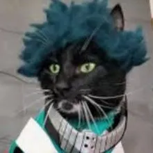 creator Katsumi_Bakugo-kb7's avatar