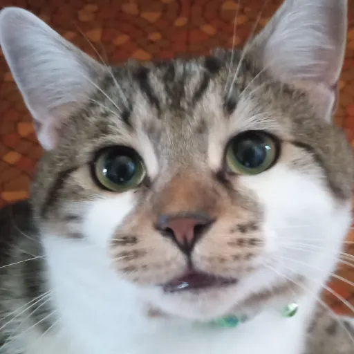 creator nighty45's avatar