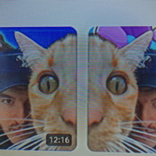 creator CatInTwoVideos's avatar